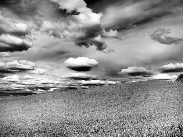 Eggers, Terry 아티스트의 USA-Washington State-Palouse Infrared of rolling hills of crops and clouds작품입니다.